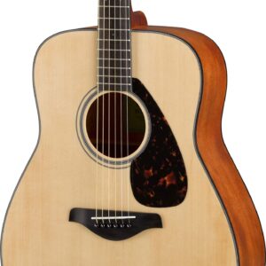 FG800M Acoustic Guitar M Pack