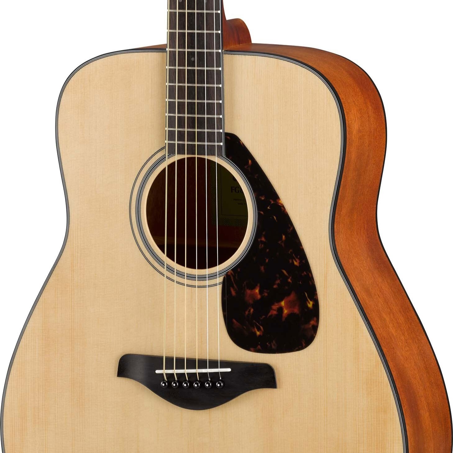 FG800M Acoustic Guitar M Pack